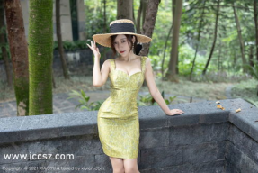 国产三及片,守护健康，引领医药创新之路